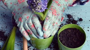 Woman potting a plant